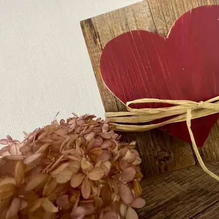 Levin 아파트 다르군