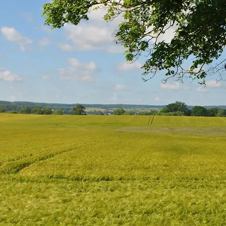 Levin 아파트 다르군